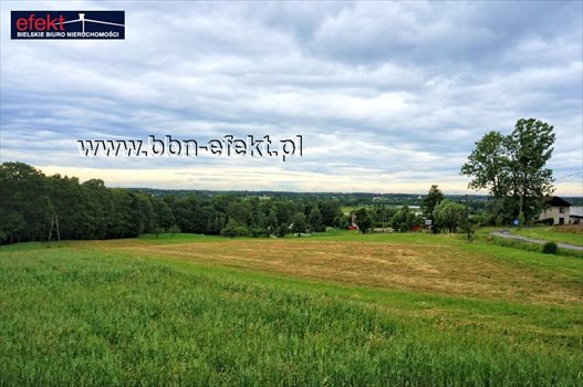 Działka budowlana na sprzedaż Iłownica 4 200m2 Foto 3
