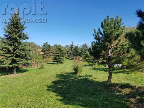 Działka budowlana na sprzedaż Włosań 3 794m2 Foto 8
