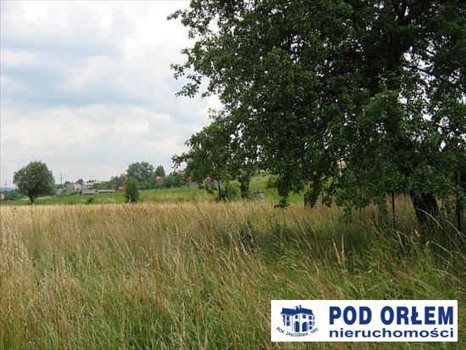 Działka rolna na sprzedaż Pietrzykowice 3 943m2 Foto 2