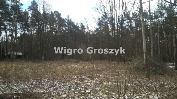 Działka budowlana na sprzedaż Marki, Pustelnik 2 031m2 Foto 4