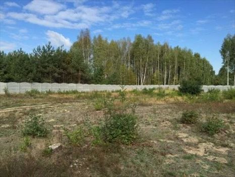 Działka komercyjna pod dzierżawę Żabia Wola 2 500m2 Foto 5