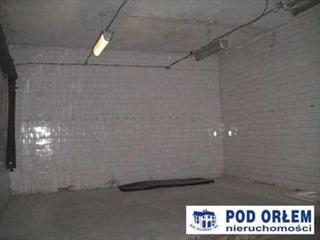 Lokal użytkowy na wynajem Bielsko-Biała, Centrum 257m2 Foto 3
