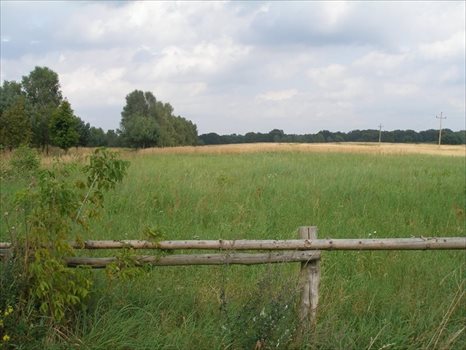 Działka budowlana na sprzedaż Ińsko 73 700m2 Foto 8