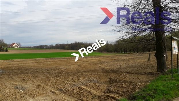 Działka inwestycyjna na sprzedaż Jastków 18 200m2 Foto 3