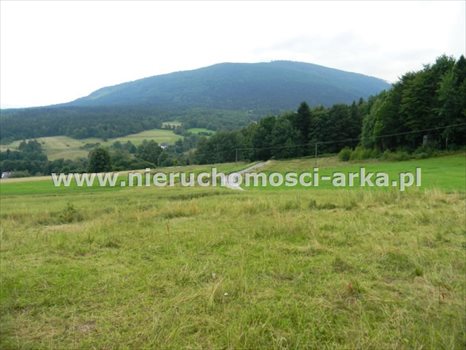 Działka budowlana na sprzedaż Dobra 1 700m2 Foto 6