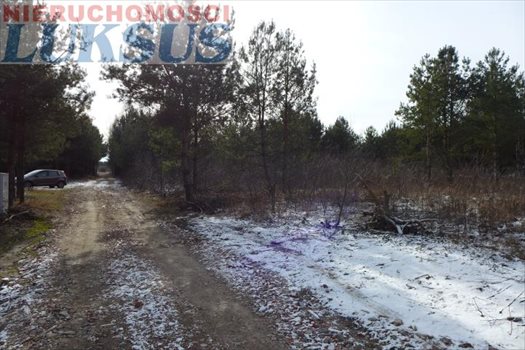 Działka budowlana na sprzedaż Łoś, Łoś 1 000m2 Foto 12