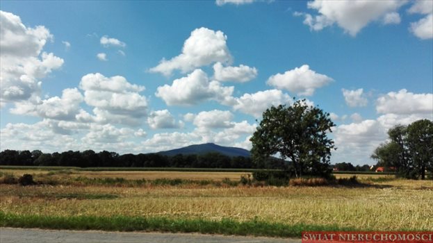 Działka budowlana na sprzedaż Rogów Sobócki, Szkolna 1 383m2 Foto 1