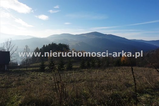 Działka rolna na sprzedaż Szczawa 1 650m2 Foto 3