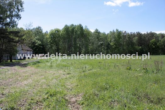 Działka budowlana na sprzedaż Sycewice 17 500m2 Foto 3