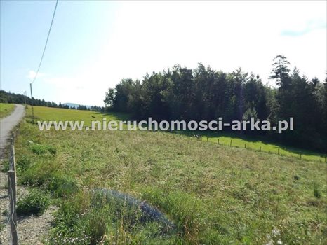 Działka budowlana na sprzedaż Mszana Dolna 6 177m2 Foto 2