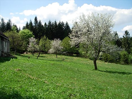 Dom na sprzedaż Porąbka 110m2 Foto 2