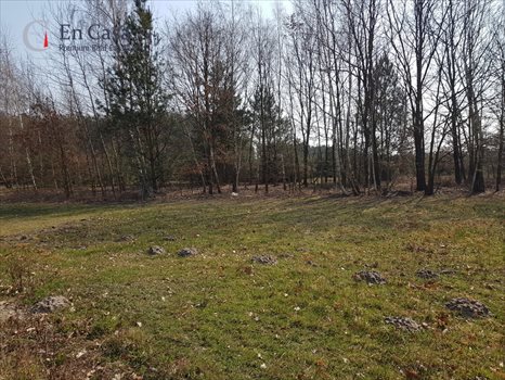 Działka budowlana na sprzedaż Książenice 2 307m2 Foto 4
