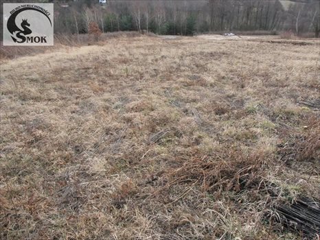 Działka budowlana na sprzedaż Wierzchowie 1 750m2 Foto 2