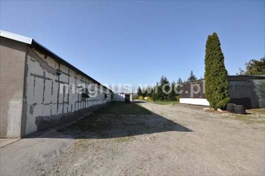 Działka inwestycyjna na sprzedaż Groblice 9 024m2 Foto 4