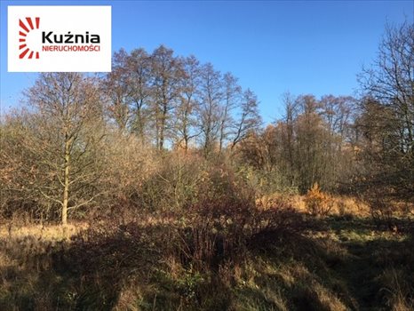 Działka budowlana na sprzedaż Siestrzeń, Łąkowa 2 064m2 Foto 5