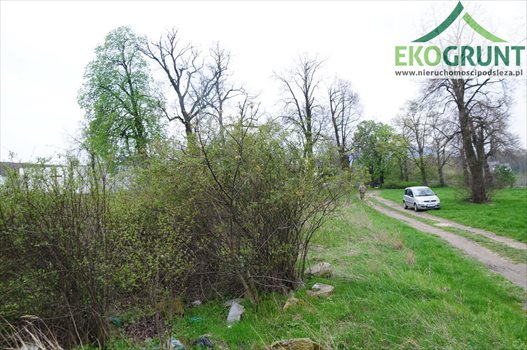 Działka budowlana na sprzedaż Rogów Sobócki 2 902m2 Foto 1