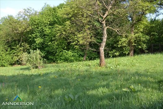 Działka budowlana na sprzedaż Kraków, Zwierzyniec 2 960m2 Foto 11