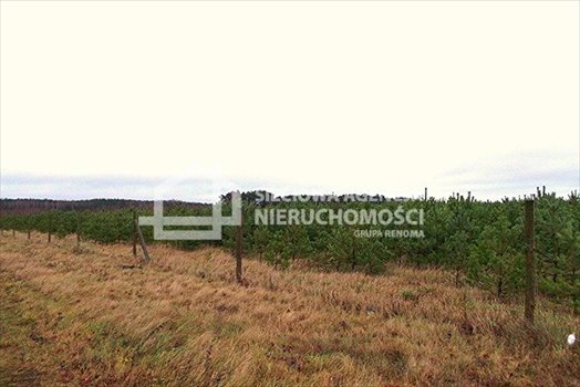 Działka leśna na sprzedaż Strzeczona 206 330m2 Foto 5