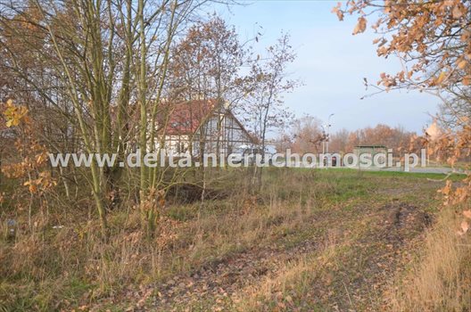 Działka budowlana na sprzedaż Pieńkowo 665m2 Foto 8