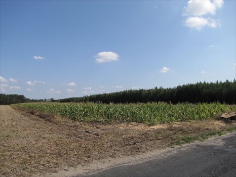 Działka budowlana na sprzedaż Marydół, Trasa Marydół - Siedlików 8 183m2 Foto 5
