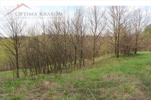 Działka budowlana na sprzedaż Głogoczów 1 200m2 Foto 5