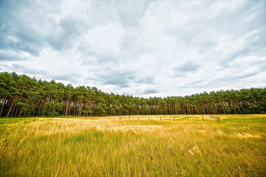 Działka budowlana na sprzedaż Gościnowo, Działki budowlane pod lasem 472m2 Foto 4