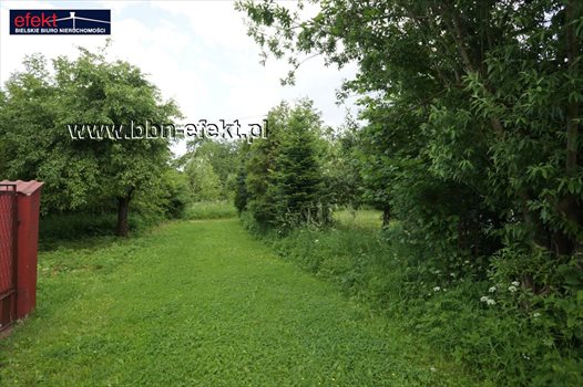 Działka budowlana na sprzedaż Jasienica 727m2 Foto 4