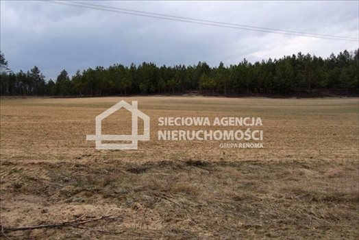Działka rolna na sprzedaż Sepiot 43 700m2 Foto 5