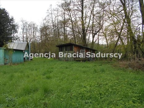 Działka rolna na sprzedaż Januszowice 2 800m2 Foto 4