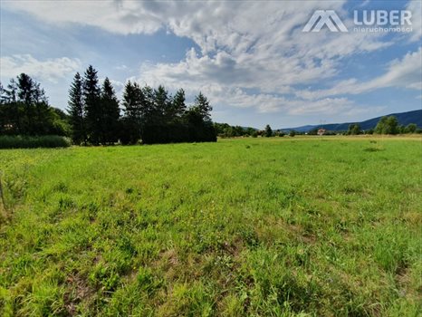Działka budowlana na sprzedaż Czaniec 773m2 Foto 8
