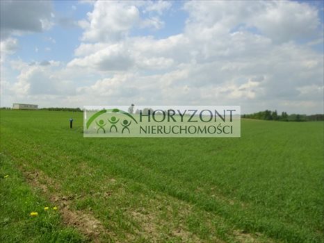 Działka rolna na sprzedaż Małkowo 3 172m2 Foto 6