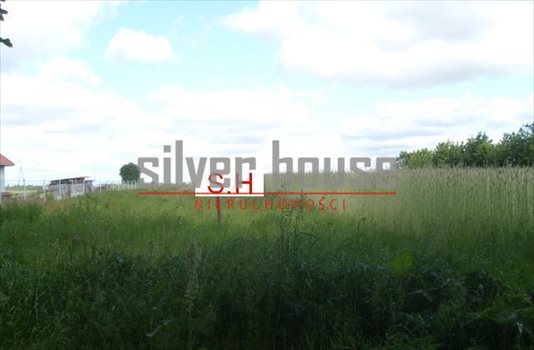 Działka budowlana na sprzedaż Rybienko Nowe 2 000m2 Foto 1