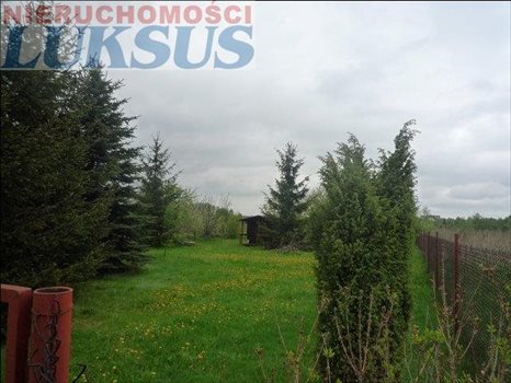 Działka budowlana na sprzedaż Łoś, Łoś 1 200m2 Foto 1