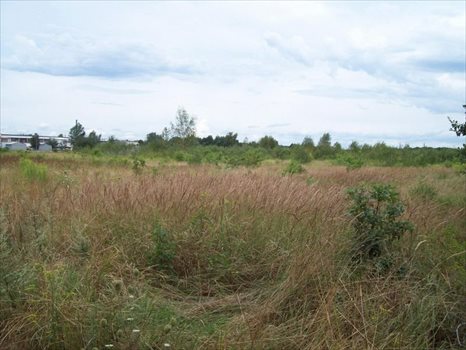 Działka budowlana na sprzedaż Wrocław, Maślice, Mieszkaniowa Dla Dewelopera 33 000m2 Foto 2