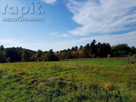 Działka budowlana na sprzedaż Borzęta 900m2 Foto 1