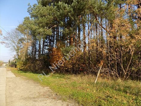 Działka rolna na sprzedaż Otwock, Wólka Mlądzka 1 350m2 Foto 3