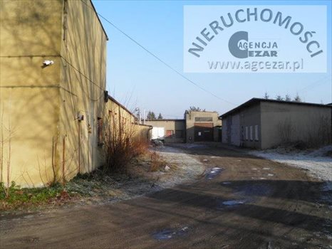 Lokal użytkowy na sprzedaż Mińsk Mazowiecki 1 330m2 Foto 5