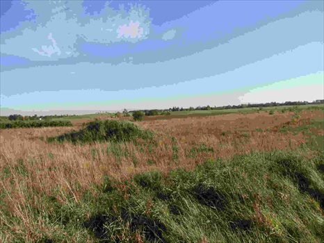 Działka komercyjna na sprzedaż Zakrzewo 18 000m2 Foto 5