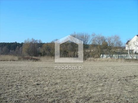 Działka budowlana na sprzedaż Kraków, Zwierzyniec 8 482m2 Foto 3