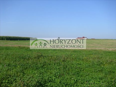 Działka budowlana na sprzedaż Małkowo 963m2 Foto 5