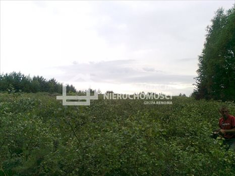 Działka rekreacyjna na sprzedaż Gołubie 1 090m2 Foto 4