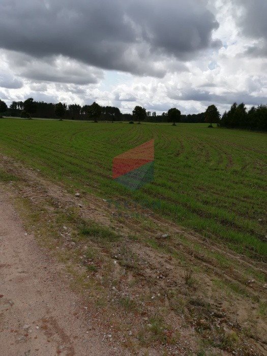 Działka inna na sprzedaż Zakrzewo 9 500m2 Foto 5
