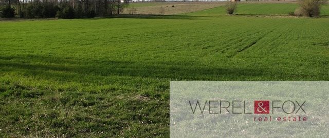 Działka inna na sprzedaż Niewodnica Kościelna 13 500m2 Foto 1