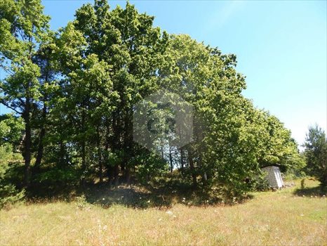 Działka budowlana na sprzedaż Kościerzyna, Kościerzyna, Plebanka 1 682m2 Foto 7