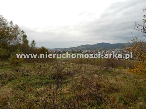 Działka rolna na sprzedaż Jordanów 3 300m2 Foto 1