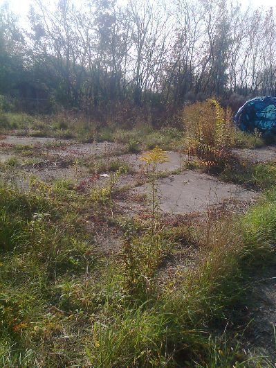 Działka inna pod dzierżawę Warszawa, Wawer, Wawer 7 000m2 Foto 1
