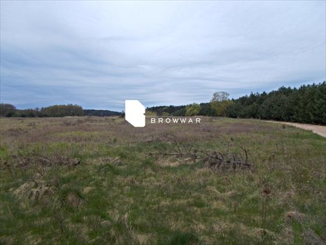 Działka budowlana na sprzedaż Silna 2 969m2 Foto 4