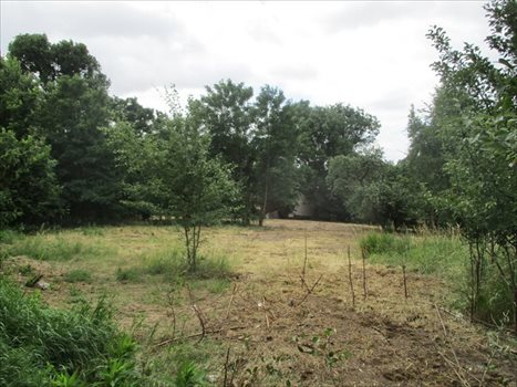 Działka budowlana na sprzedaż Poznań, Strzeszyn, Psarskie, Koszalińska 5 000m2 Foto 5