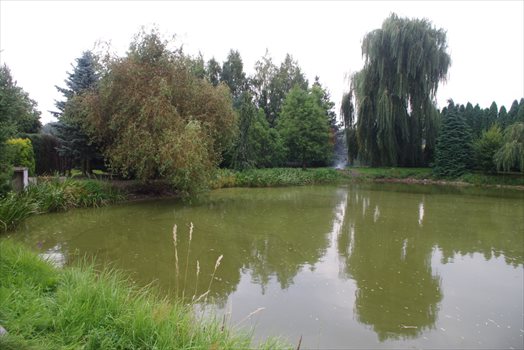 Działka budowlana na sprzedaż Wola Pniewska 6 200m2 Foto 11