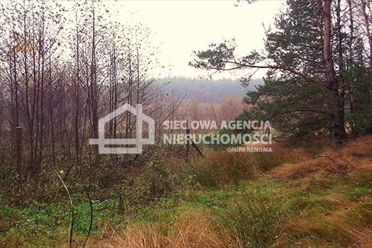 Działka leśna na sprzedaż Skwierawy 64 900m2 Foto 11